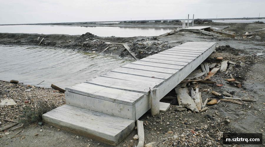 芒果体育直播官网拥抱青春，释放活力！